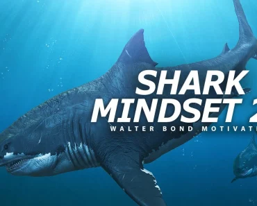 Unleash Your Inner Shark: A Blueprint for Success